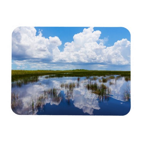 Everglades Natural Landscape Magnet