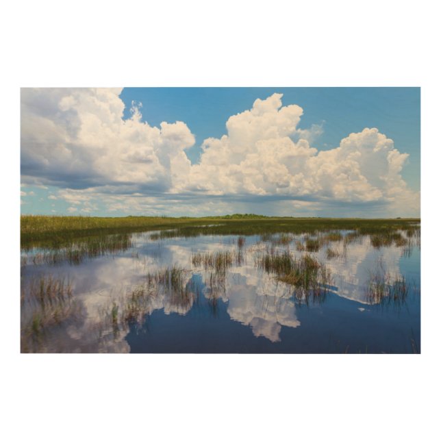 Everglades Natural Landscape Wood Wall Art (Front)