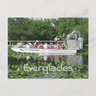 Everglades Postcard