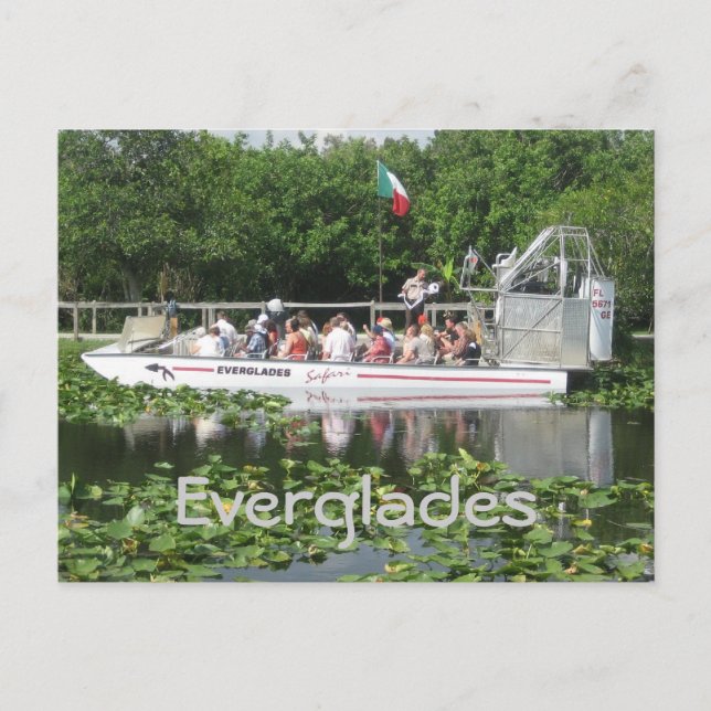 Everglades Postcard (Front)
