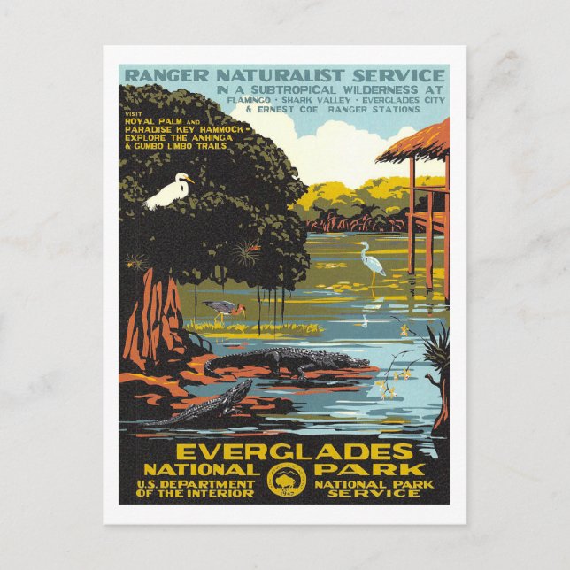 Everglades Postcard (Front)