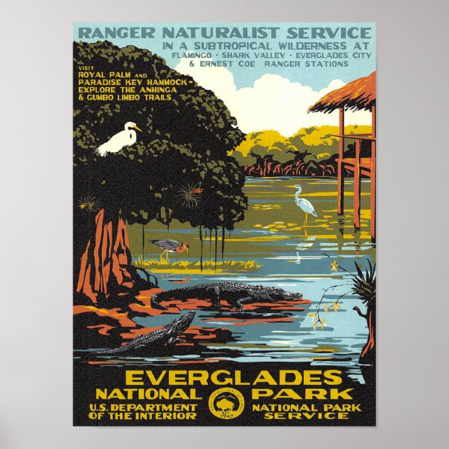 Everglades Poster (Front)