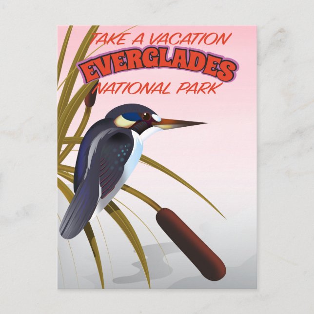 Everglades vintage travel poster. postcard (Front)