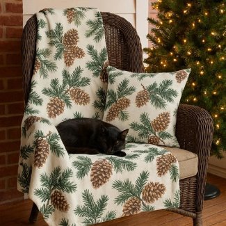 Evergreen and Pinecone Porch / Patio