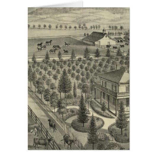 Evergreen Ave Farm Cards (Front)