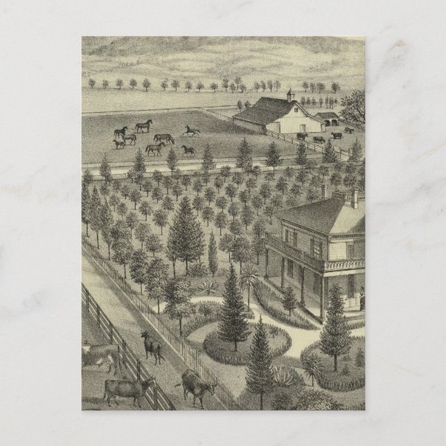 Evergreen Ave Farm Postcard (Front)