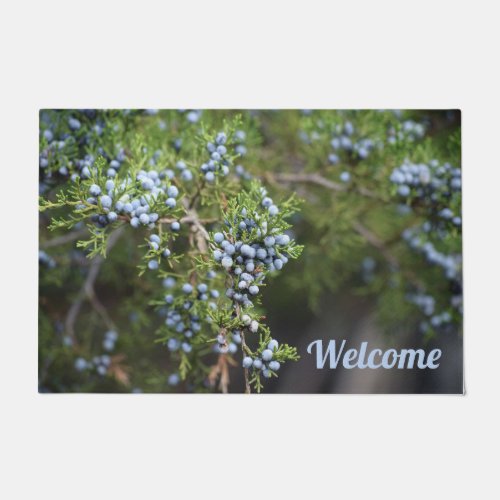 Evergreen Blueberries Welcome Mat