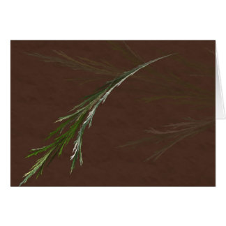 Evergreen Bough Card