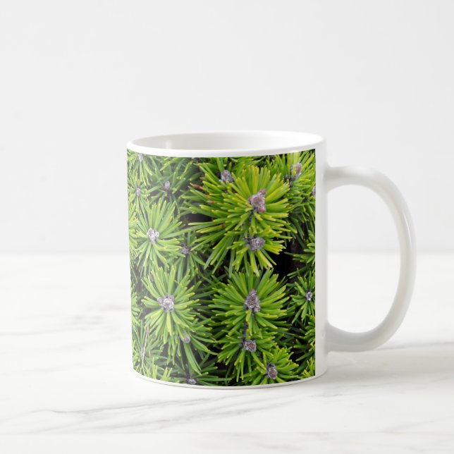 Evergreen branches coffee mug (Right)