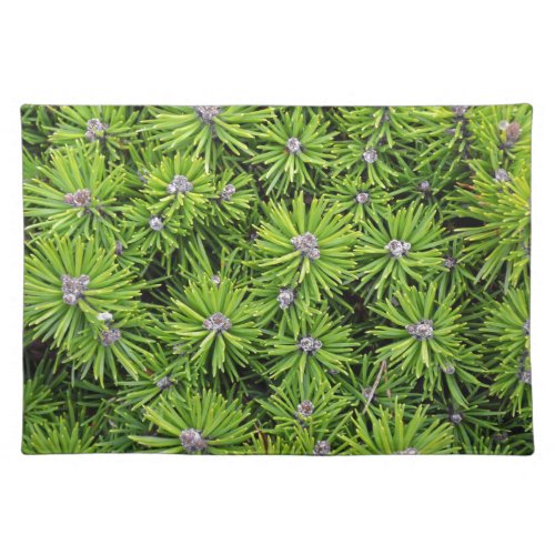 Evergreen branches placemat