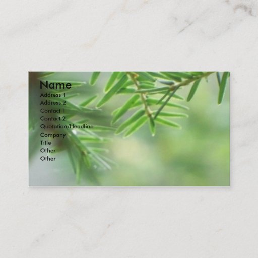 Customizable Evergreen Business Card Template