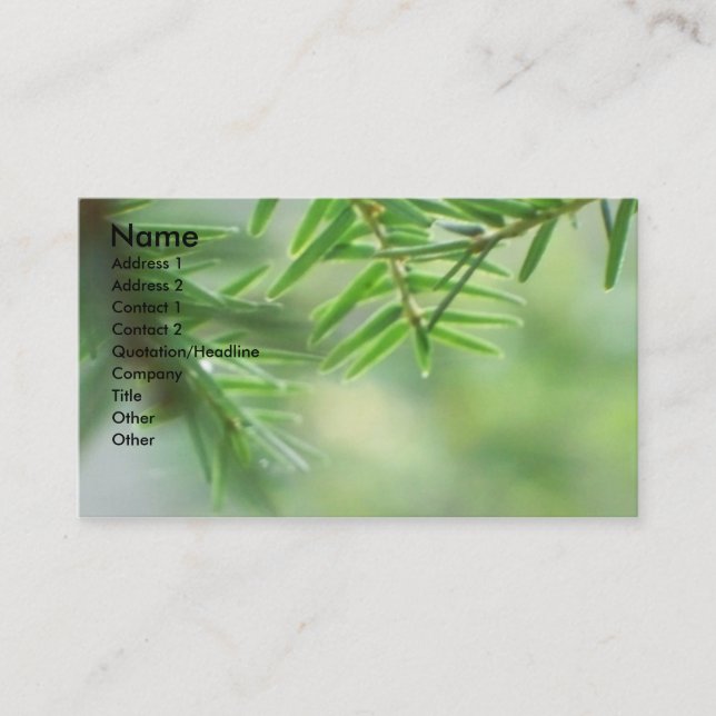 Evergreen Business Card (Front)