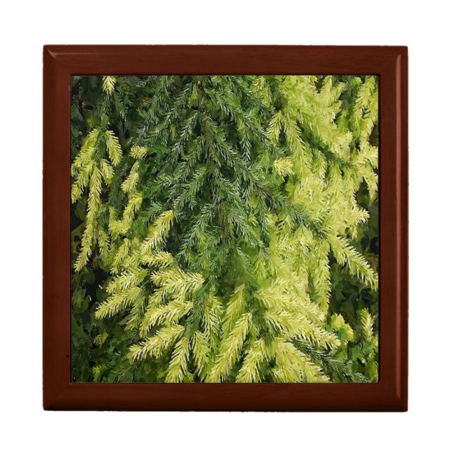 Evergreen Christmas Gift Box (Front)