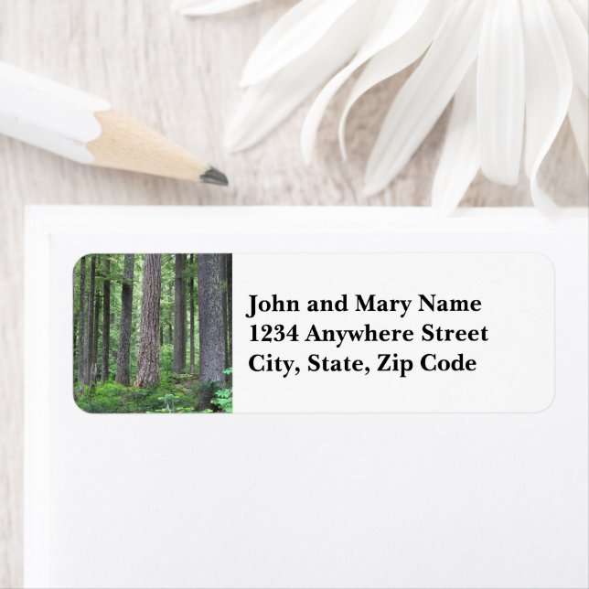 Evergreen Conifer Forest Address Label (Insitu)