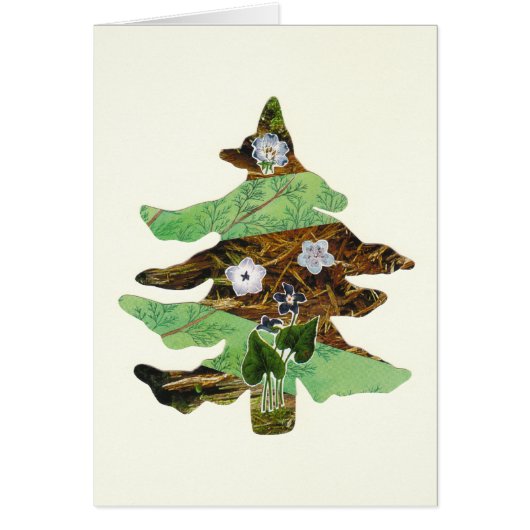 Evergreen & Flowers Cards (Front)