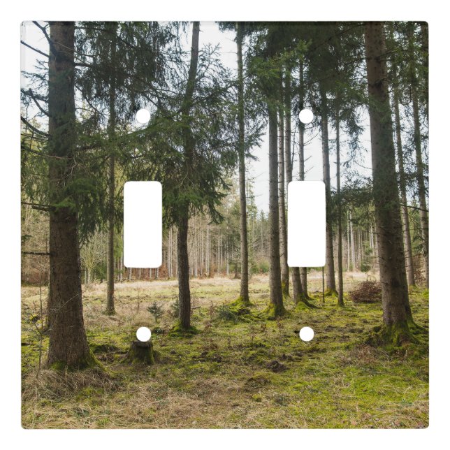 Evergreen Forest Bliss 2 Light Switch Cover (Front)