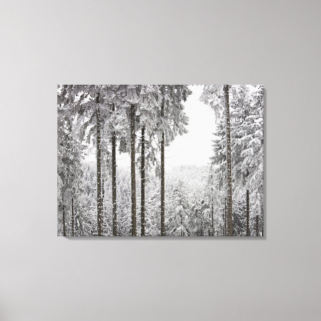 Evergreen forest in winter canvas print (Front)