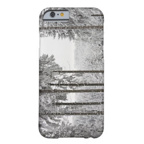 Evergreen forest in winter barely there iPhone 6 case