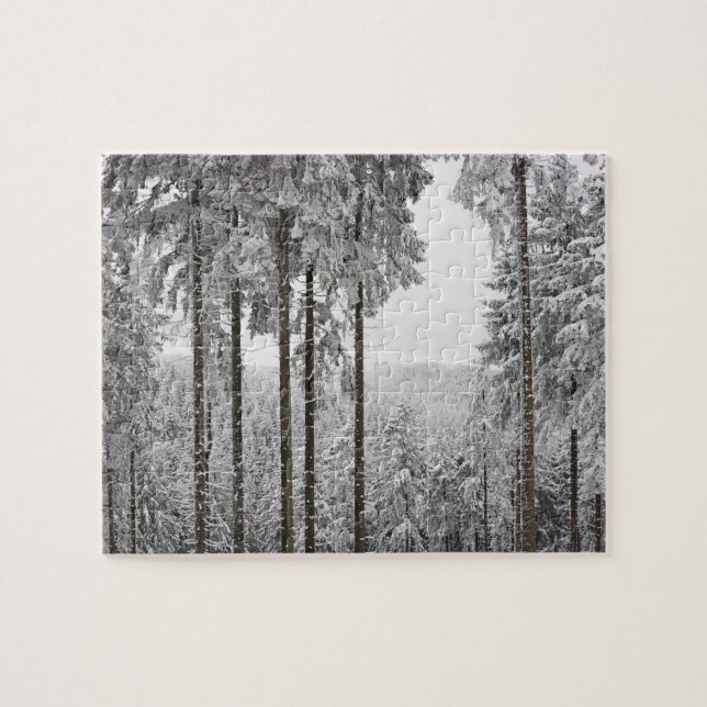 Evergreen forest in winter jigsaw puzzle (Horizontal)