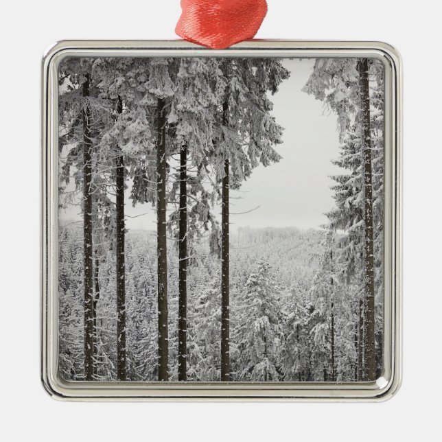 Evergreen forest in winter metal ornament (Front)