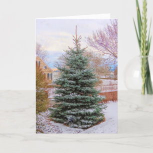 Evergreen in Winter Thank You Card