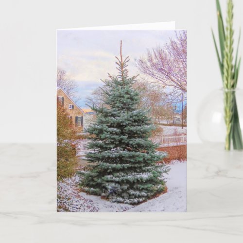 Evergreen in Winter  Thank You Card