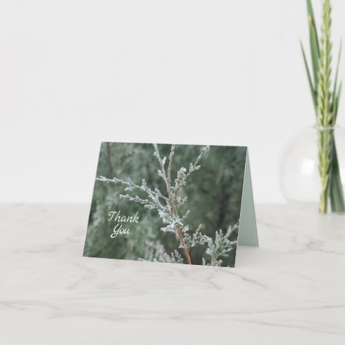 Evergreen Juniper Branch Folded Thank You Card