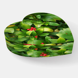 Evergreen Leaves, Red Berries, Holly Floral Paperweight