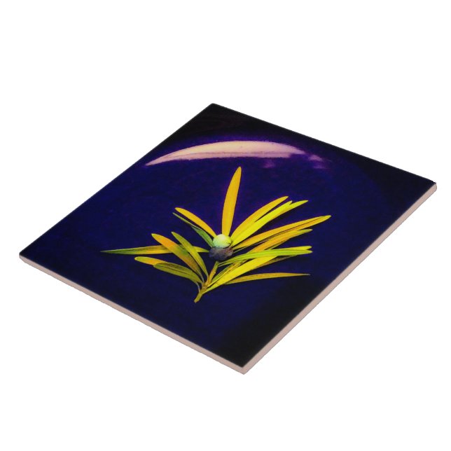 Evergreen on Blue Ceramic Tile (Side)