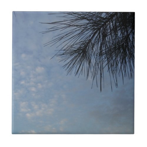 Evergreen Pine Against a Snowy Blue Sky Ceramic Tile
