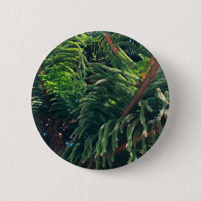 Evergreen pine-tree conifer  button (Front)