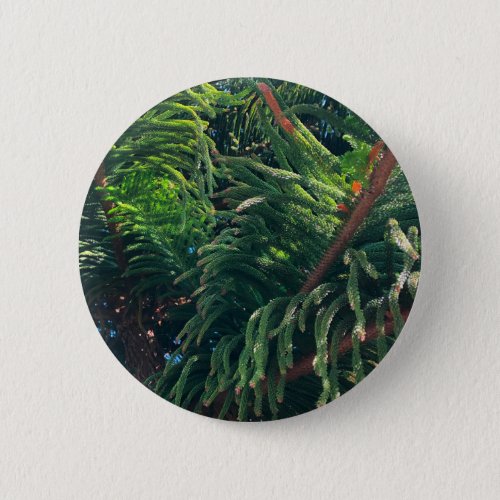 Evergreen pine_tree conifer  button