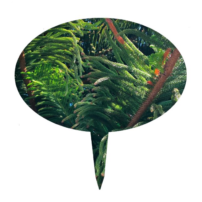Evergreen pine-tree conifer  cake topper (Front)