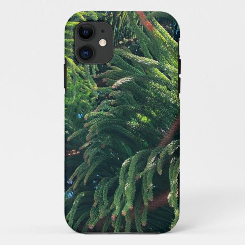 Evergreen pine_tree conifer  iPhone 11 case