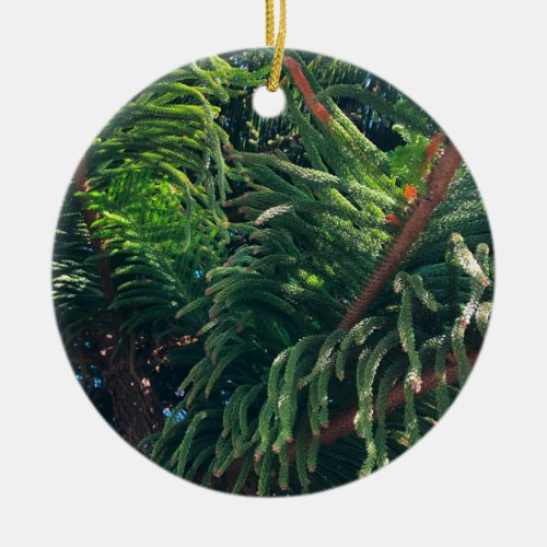 Evergreen pine_tree conifer  ceramic ornament