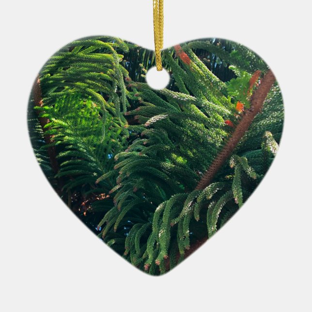 Evergreen pine-tree conifer  ceramic ornament (Front)