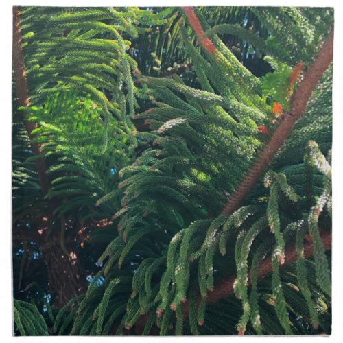 Evergreen pine_tree conifer  cloth napkin