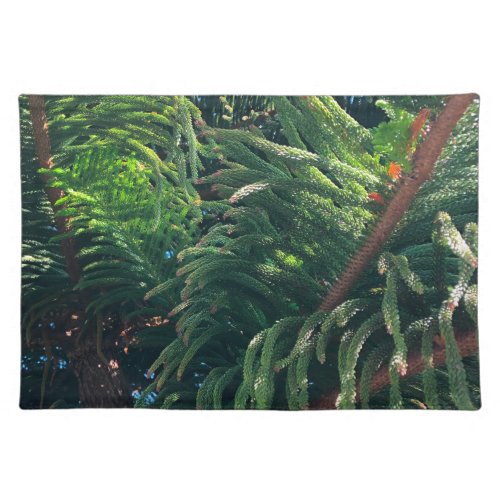 Evergreen pine_tree conifer  cloth placemat