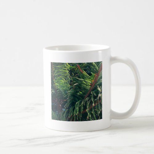 Evergreen pine_tree conifer  coffee mug