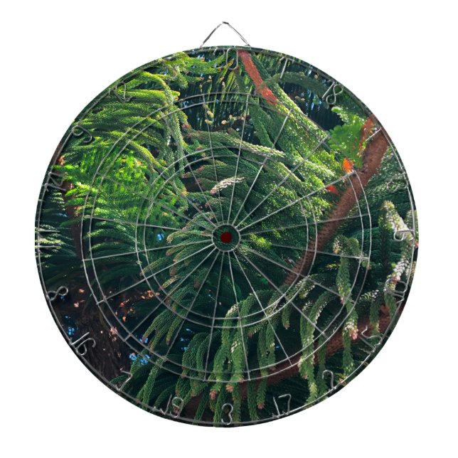 Evergreen pine-tree conifer  dart board (Front)