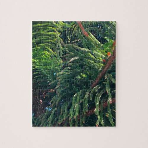 Evergreen pine_tree conifer  jigsaw puzzle