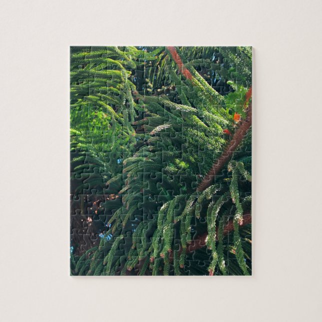 Evergreen pine-tree conifer  jigsaw puzzle (Vertical)
