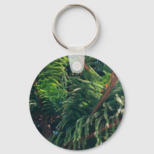 Evergreen pine_tree conifer  keychain