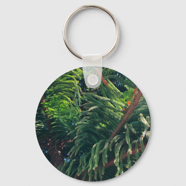 Evergreen pine-tree conifer  keychain (Front)