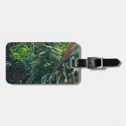 Evergreen pine_tree conifer  luggage tag
