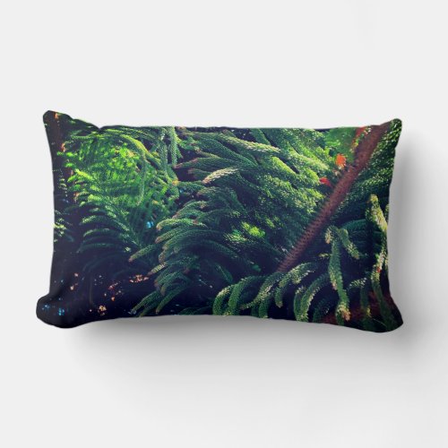 Evergreen pine_tree conifer  lumbar pillow