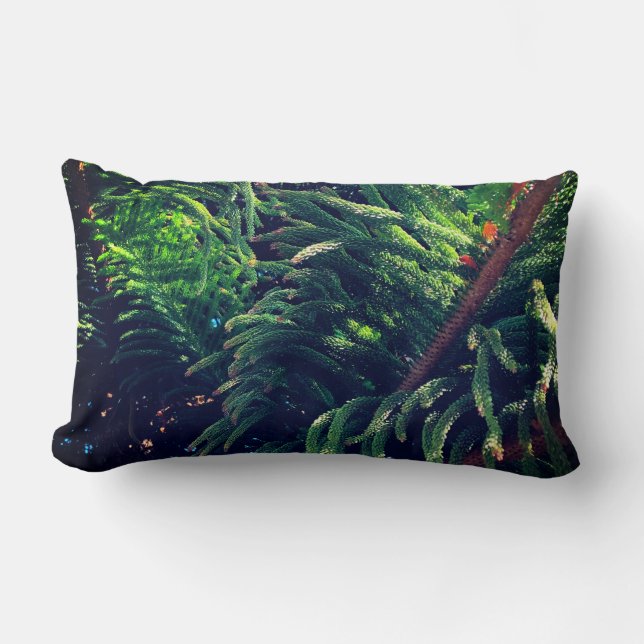 Evergreen pine-tree conifer  lumbar pillow (Front)