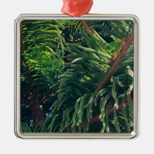 Evergreen pine_tree conifer  metal ornament