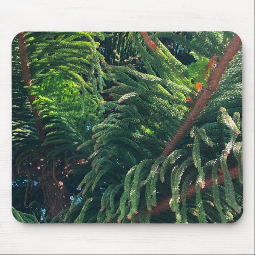 Evergreen pine_tree conifer  mouse pad