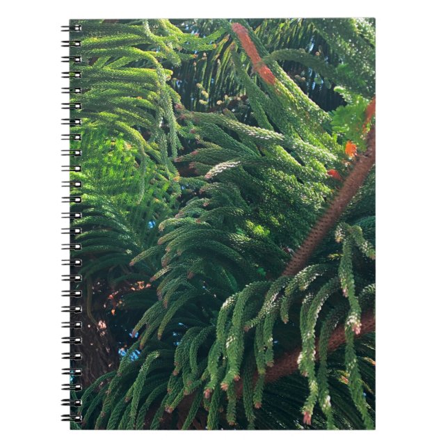 Evergreen pine-tree conifer  notebook (Front)